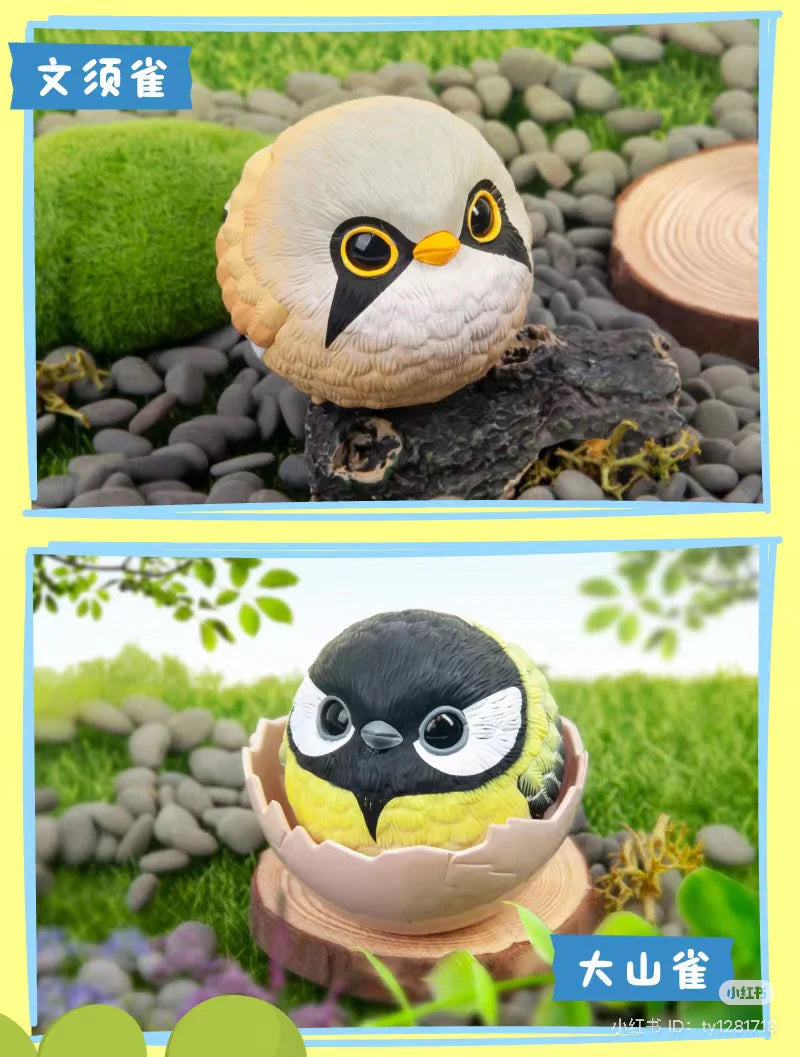 JoJo Birds - Dream Island Series