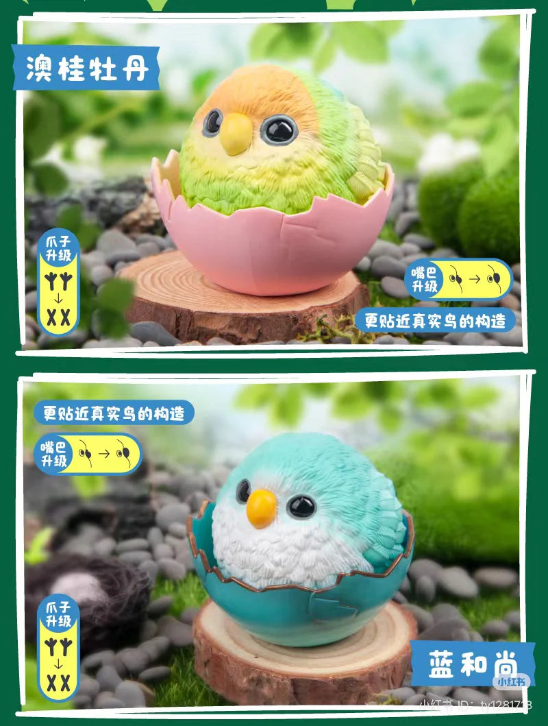 JoJo Birds - Dream Island Series