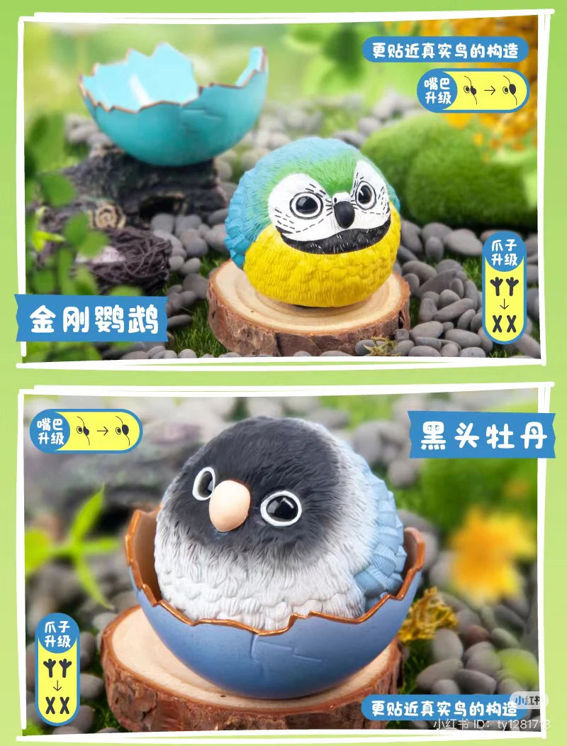 JoJo Birds - Dream Island Series