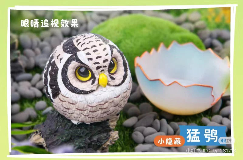 JoJo Birds - Dream Island Series