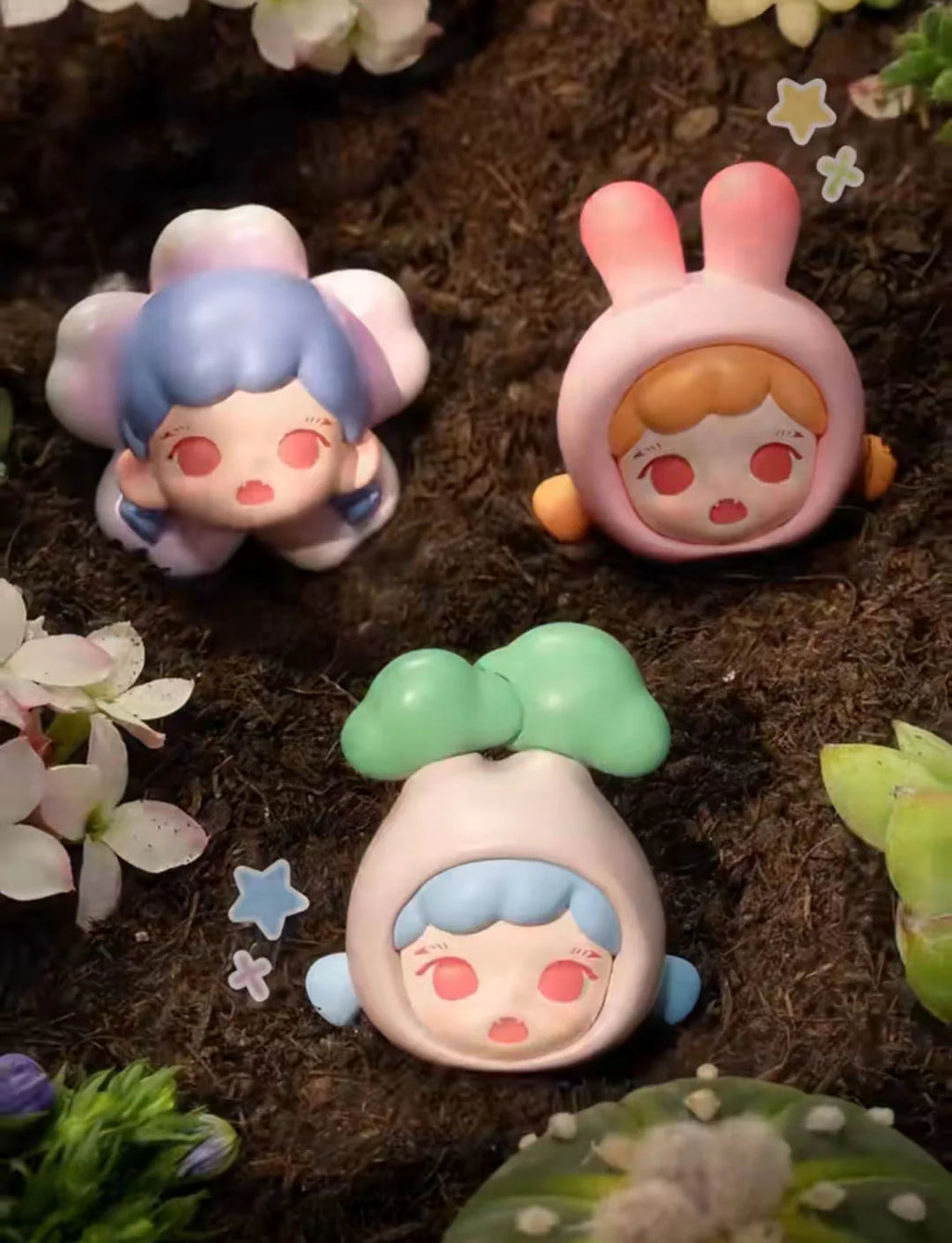 TNT: Fun with Plants Series